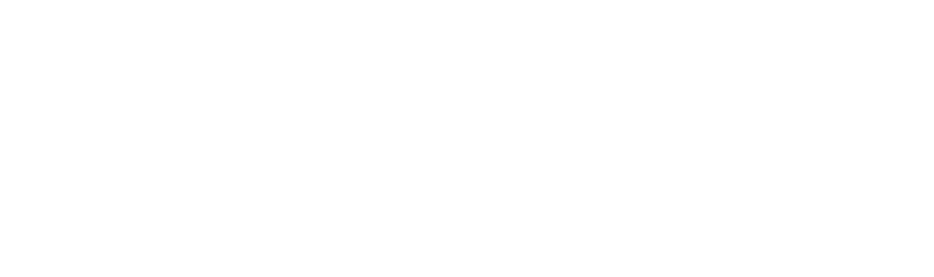 Bendet White Logo